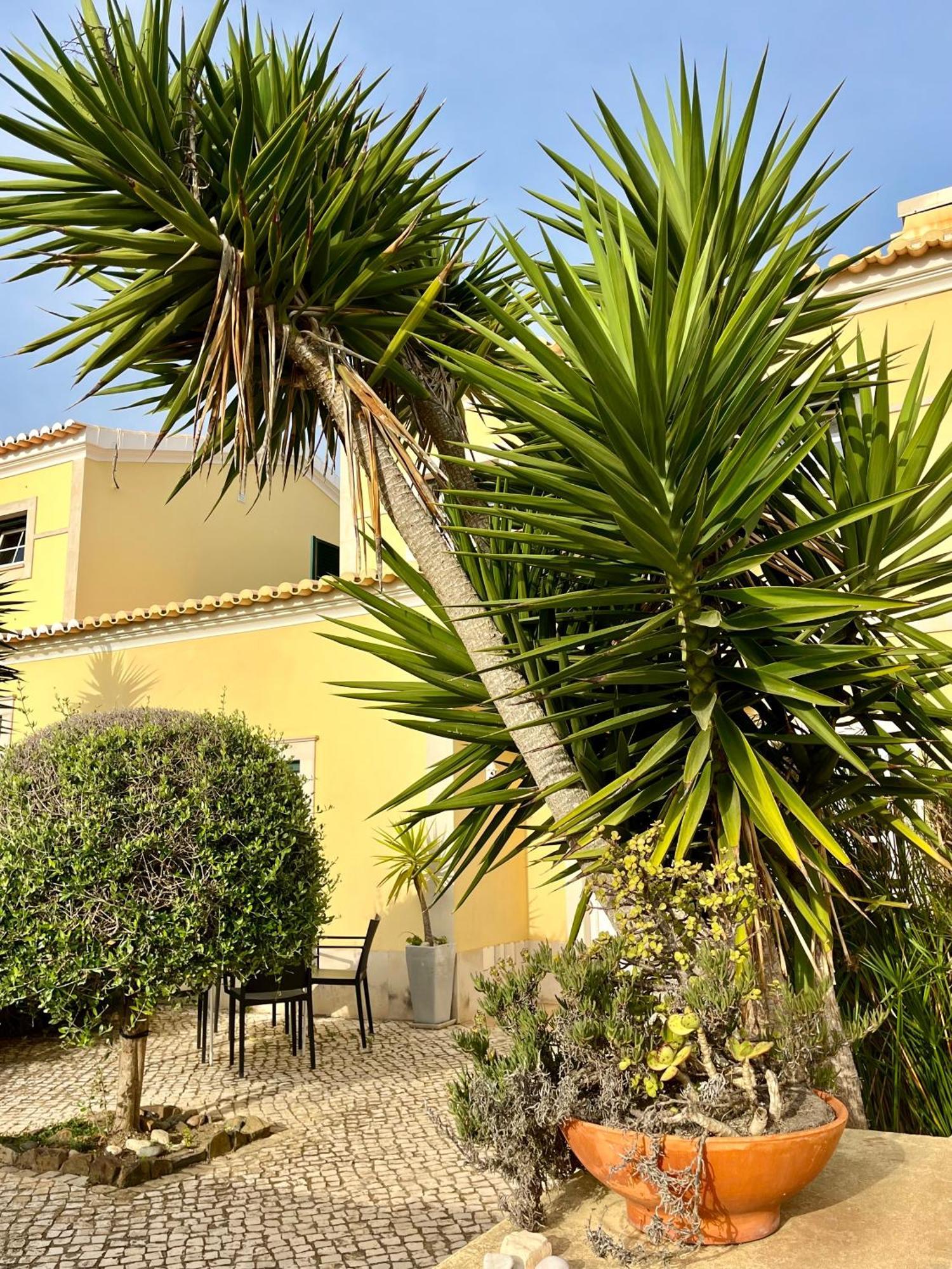 Pita'S House - Villa Sagres 2 Екстер'єр фото